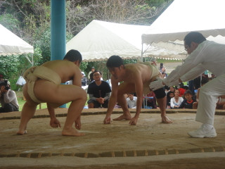 Dsc07744