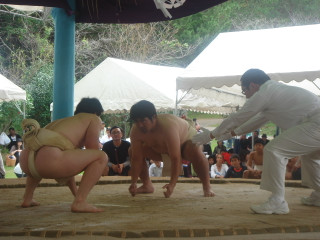 Dsc07745