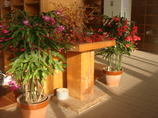Dsc08101