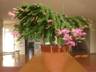 Dsc08102