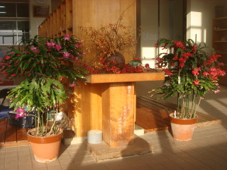 Dsc08103