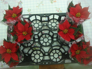 Dsc08220