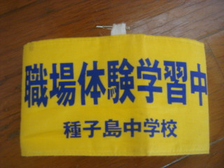 Dsc08600
