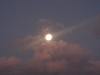 Dsc08722