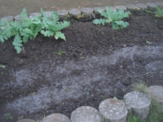 Dsc08734