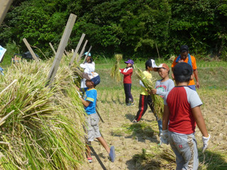 Photo_4