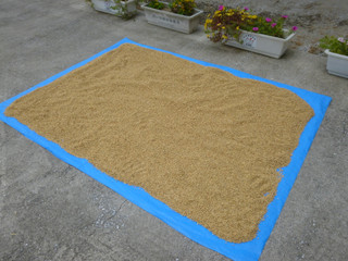 Photo_5