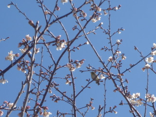 Dsc00030