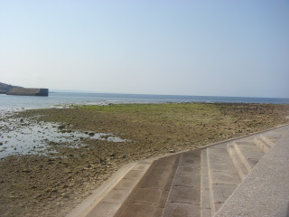 Dsc00161