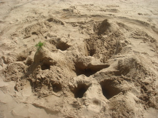Dsc09976