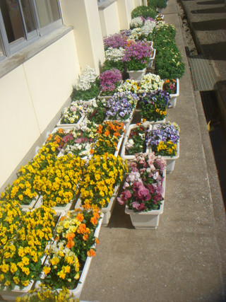 Dsc09979