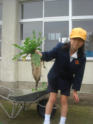 Dsc00052