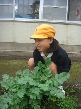 Dsc00053