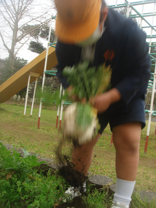 Dsc00056