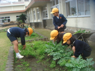 Dsc00060