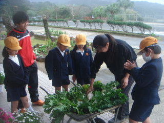 Dsc00252