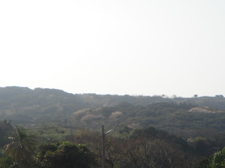 Dsc00033