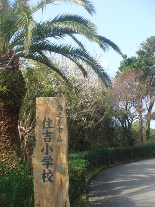 Dsc00037