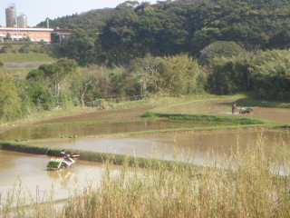 Dsc00063