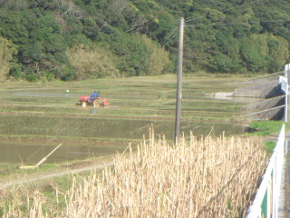 Dsc00065
