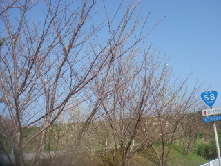 Dsc00071
