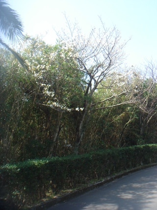 Dsc00073