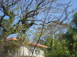 Dsc00075