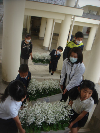Dsc00104