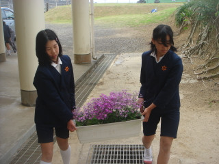 Dsc00108