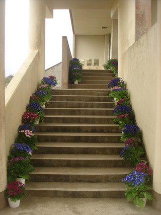 Dsc00112