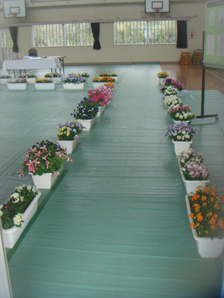 Dsc00115