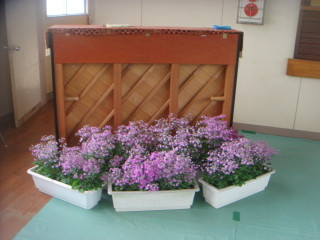Dsc00129