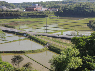 Dscn1306